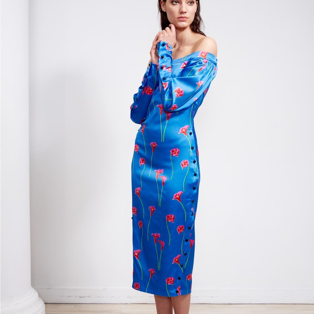 SOLD: Caroline Constas Elegant Blue Floral Dress
